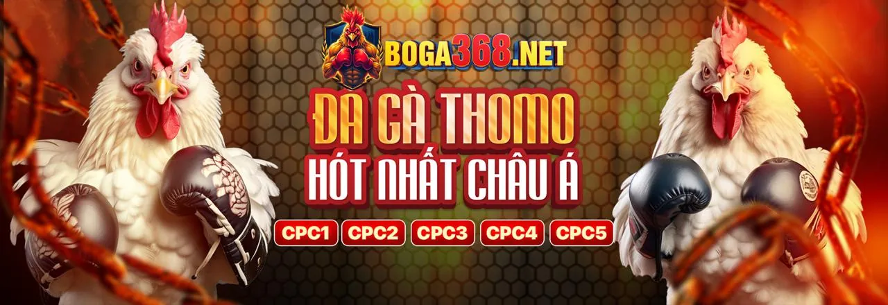 Đá gà trực tuyến tại dagac3